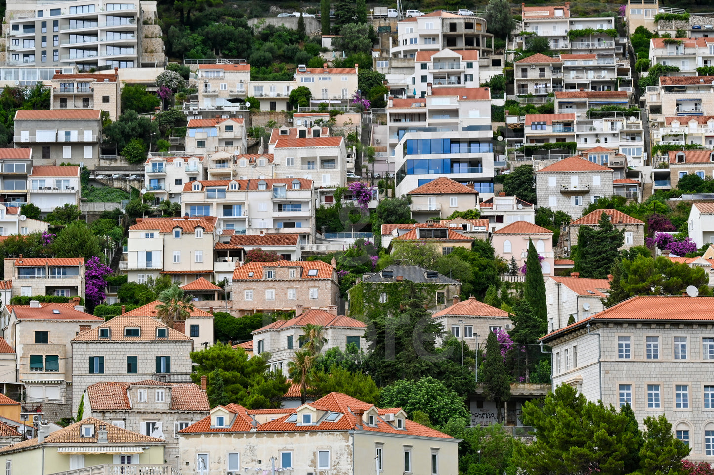 Suburban Dubrovnik