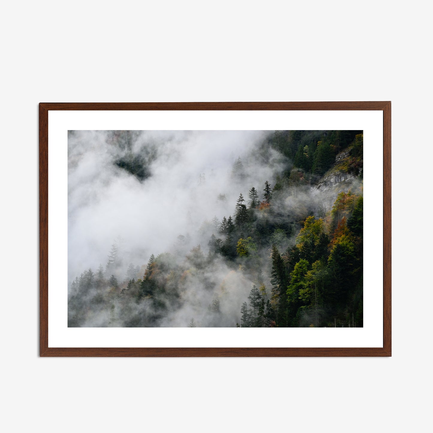 Moods of Lauterbrunnen