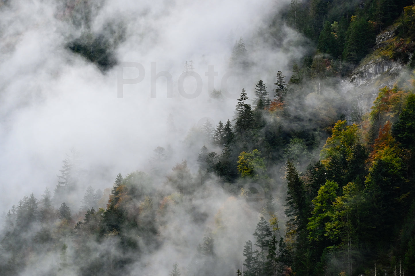 Moods of Lauterbrunnen
