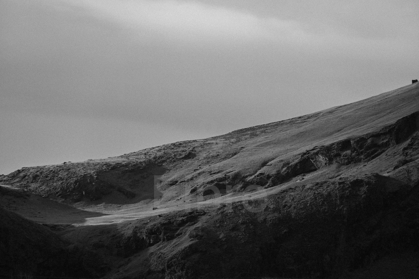 Icelandic Light