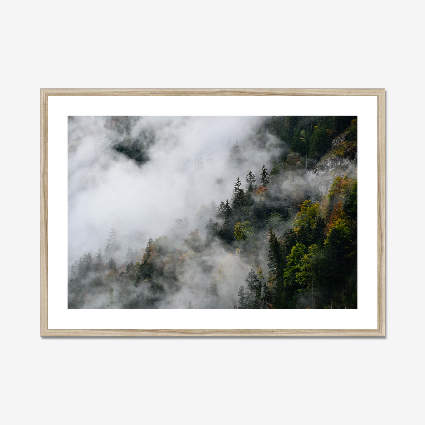 Moods of Lauterbrunnen