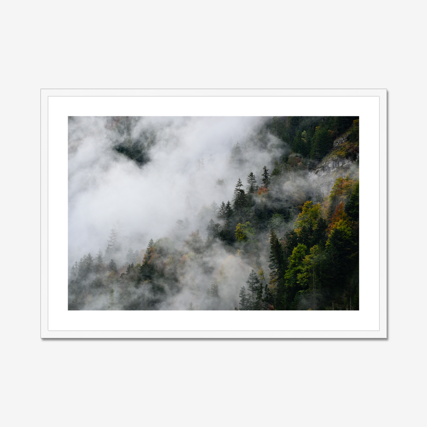 Moods of Lauterbrunnen